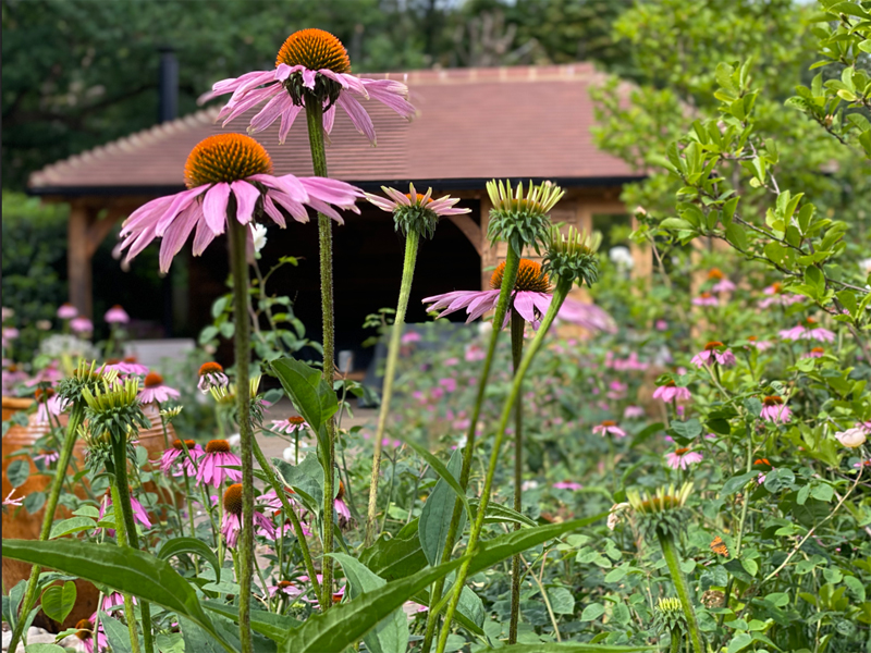 Felbridge GardenMain Image 15