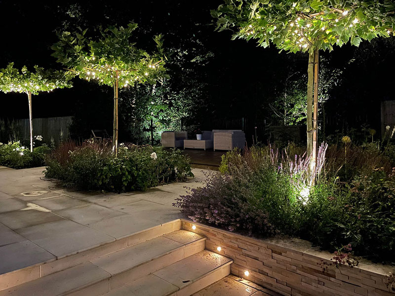 Table top plane trees are lit with fairy lights