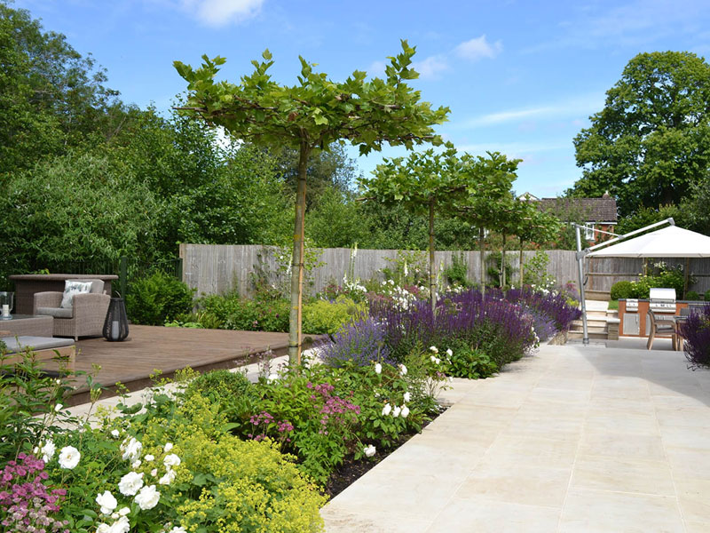 Table top trees underplanted with alchemical and roses