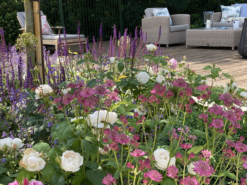 Iceberg roses and astrantia