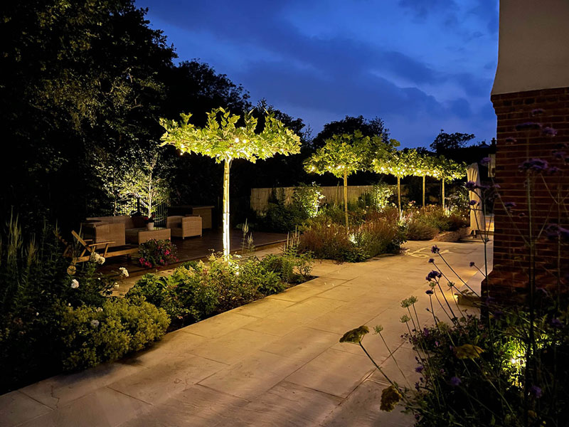 Table top trees uplight at night