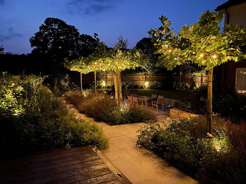 Garden at night