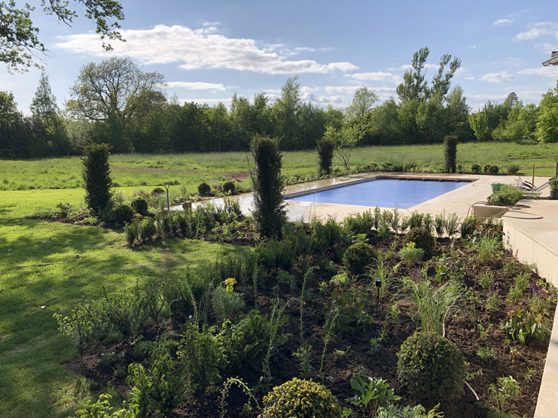 Sussex planting designer. Garden design. Yew columns. Herbaceous planting. Swimming pool.