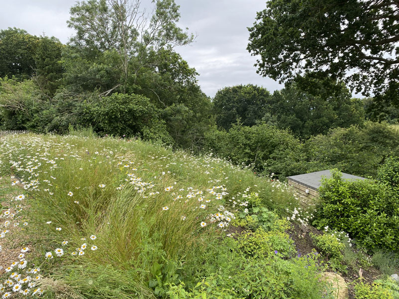 PetworthMain Image 2