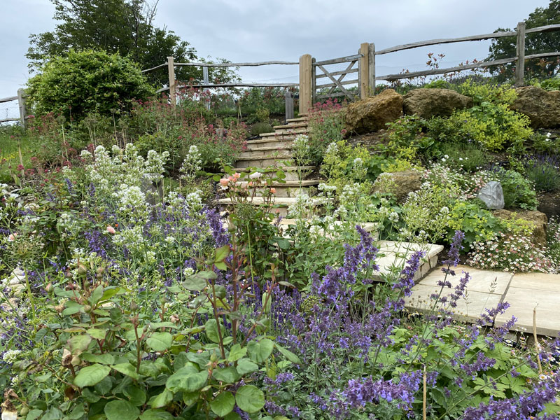 PetworthMain Image 6