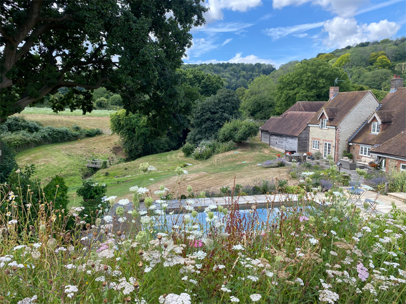 PetworthMain Image 4